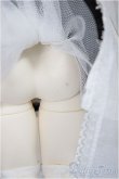 画像6: TinyFox /狐狐神?夢神 フィフレ/BJD　球体関節人形 A-25-05-14-150-NY-ZA (6)