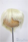 画像1: 8-9inch/ウィッグ/インチ　BJD　MJD　ドール用 A-25-08-13-375-NY-ZA (1)