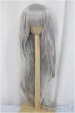 画像1: 8-9inch/ウィッグ　[FMDLL 1090]-White Silver /インチ　BJD　MJD　ドール用 A-25-05-14-298-KD-ZA (1)