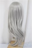 画像2: 8-9inch/ウィッグ　[FMDLL 1090]-White Silver /インチ　BJD　MJD　ドール用 A-25-05-14-298-KD-ZA (2)