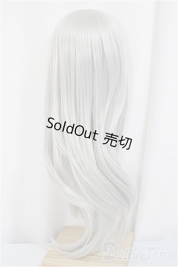 画像2: 8-9inch/ウィッグ　[FMDLL 1090]-White Silver /インチ　BJD　MJD　ドール用 A-25-05-14-298-KD-ZA (2)