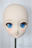 画像1: DD/造形村77メイク済みヘッド/BJD　球体関節人形 A-25-05-14-250-KD-ZA (1)