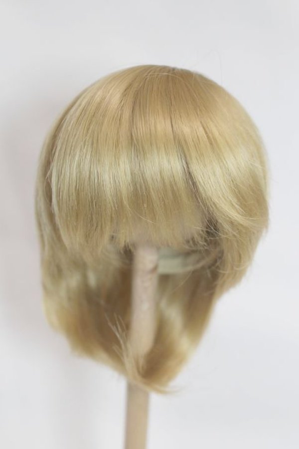 画像1: 8-9inch/ウィッグ A-25-07-09-020-NY-ZA (1)