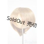 画像: 8-9inch/ウィッグ/インチ　BJD　MJD　ドール用 A-25-10-22-382-NY-ZA