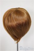 画像2: 8-9inch/ウィッグ/インチ　BJD　MJD　ドール用 A-25-08-06-379-NY-ZA (2)