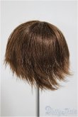 画像2: 7-8inch/ウィッグ/インチ　BJD　MJD　ドール用 A-25-07-09-309-NY-ZA (2)