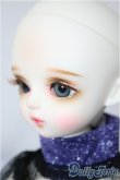 画像4: Dollsn/Amber fullset (天の川)/BJD　球体関節人形 A-25-05-14-345-NY-ZA (4)