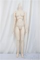 画像: DDS/ベースボディIII/BJD　球体関節人形 A-25-05-14-348-NY-ZA