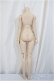 画像2: DDS/ベースボディ(DD-f3)/BJD　球体関節人形 A-25-05-14-350-NY-ZA (2)