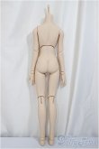 画像2: DDSB/ベースボディ/BJD　球体関節人形 A-25-05-14-349-NY-ZA (2)