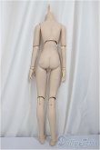 画像2: DDB/ベースボディ/BJD　球体関節人形 A-25-05-14-347-NY-ZA (2)