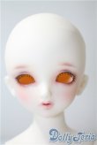 画像1: SDM/F-33:コーディネートモデル U-25-05-20-213-NY-ZU (1)