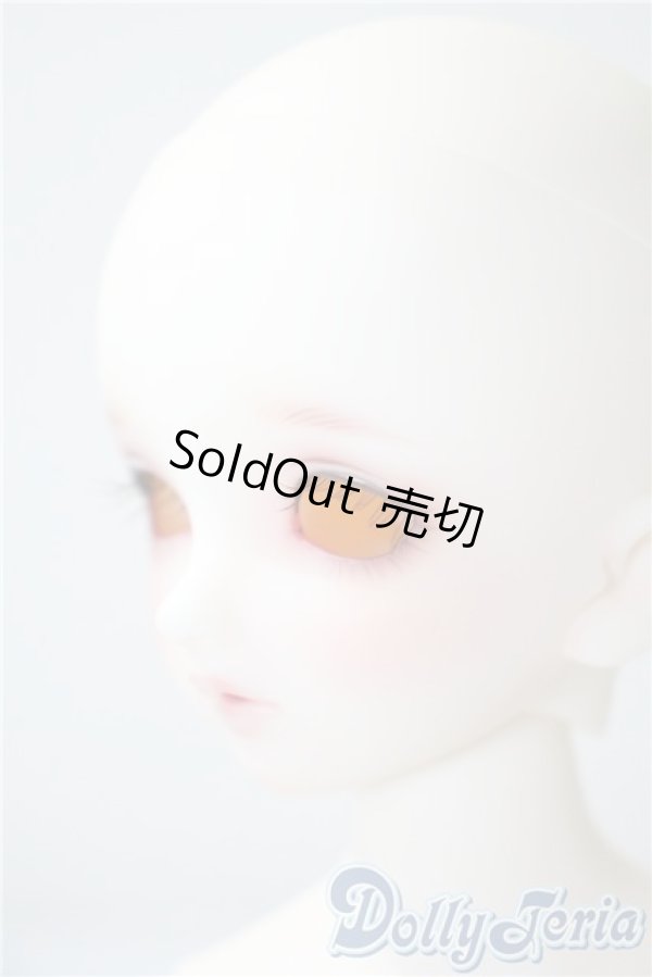 画像3: SDM/F-33:コーディネートモデル U-25-05-20-213-NY-ZU (3)