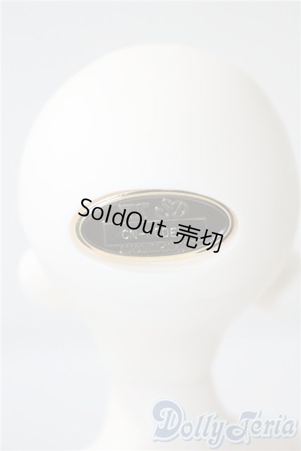 画像4: SDM/F-33:コーディネートモデル U-25-05-20-213-NY-ZU (4)