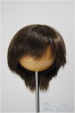 画像1: 6-7inch/ウィッグ/インチ　BJD　MJD　ドール用 A-25-06-11-299-NY-ZA (1)