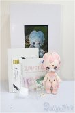 画像4: 2d Doll /Komata/BJD　球体関節人形 A-25-05-21-302-NY-ZA (4)