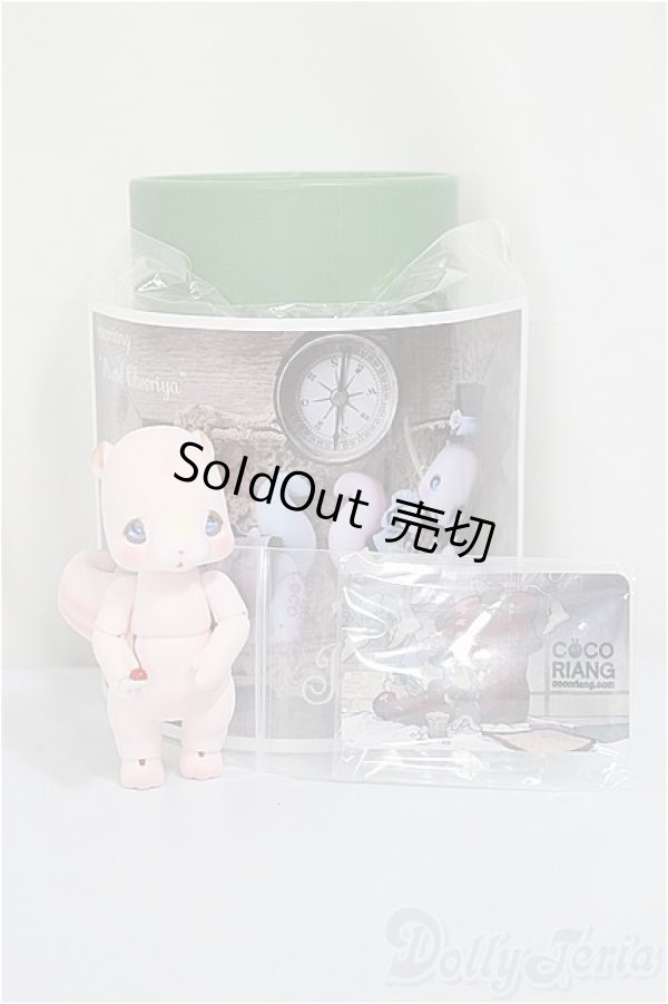 画像4: cocoriang /Cheeriya/BJD　球体関節人形 A-25-05-21-208-NY-ZA (4)