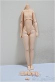画像1: オビツ26/ボディ　S胸　ナチュラル/ A-25-05-21-400-NY-ZA (1)