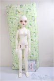 画像6: ChicaBi/Winnie baby/BJD　球体関節人形 A-25-05-21-307-NY-ZA (6)