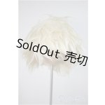 画像: 8-9inch/ウィッグ/インチ　BJD　MJD　ドール用 A-25-10-22-378-NY-ZA