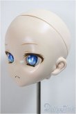 画像3: DD/DDH-10/カスタムヘッド/BJD　球体関節人形 A-25-05-28-117-NY-ZA (3)