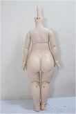 画像2: ちみっこDD/ベースボディ(DD-f3)/BJD　球体関節人形 A-25-05-28-255-KD-ZA (2)
