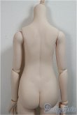 画像3: MDD/アセクシャルボディ：フレッシュ(DD-f3)/BJD　球体関節人形 A-25-05-28-256-KD-ZA (3)