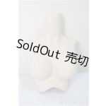 画像: DD/上半身パーツ/ A-25-05-28-259-KD-ZA