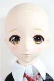 画像2: DDｄｙ/DDh-11　メイク：M01　D'COORD/BJD　球体関節人形 A-25-05-28-101-NY-ZA (2)
