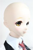 画像3: DDｄｙ/DDh-11　メイク：M01　D'COORD/BJD　球体関節人形 A-25-05-28-101-NY-ZA (3)