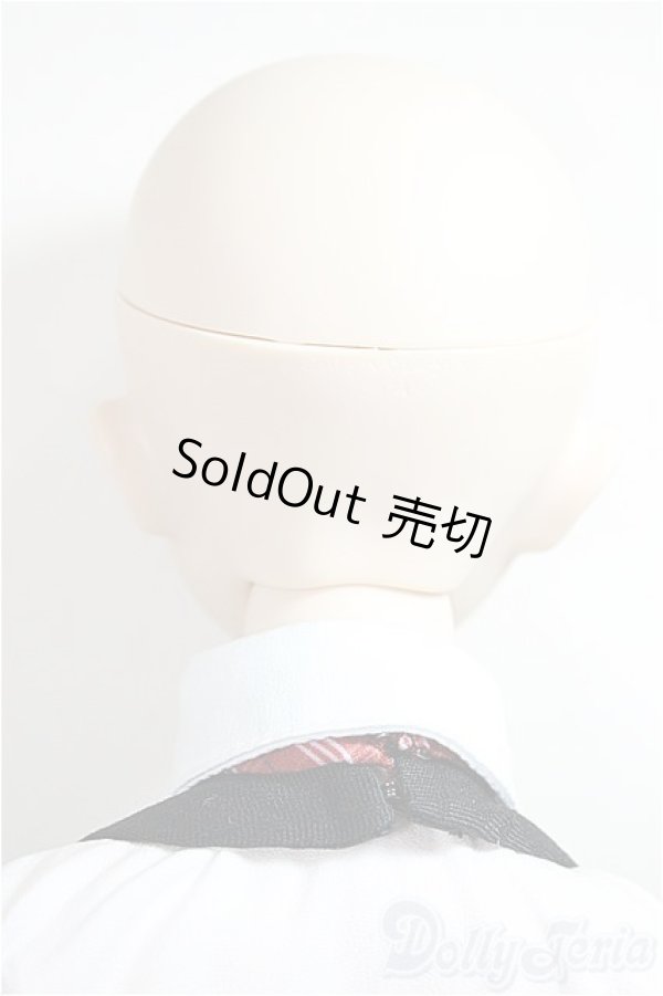 画像5: DDｄｙ/DDh-11　メイク：M01　D'COORD/BJD　球体関節人形 A-25-05-28-101-NY-ZA (5)