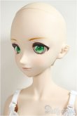 画像4: DD/DC-H-16　メイクM03　DDドリームチョイス/BJD　球体関節人形 A-25-05-28-102-NY-ZA (4)