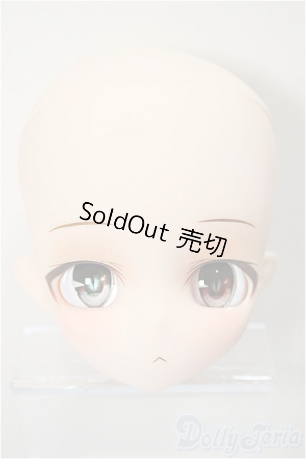 画像1: DOLLBOT/DBC-M 晴斗（はると）　＃０２ヘッドのみ/BJD　球体関節人形 A-25-05-28-109-NY-ZA (1)