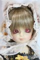 画像: 幼SD/たんぽぽ U-25-06-10-211-NY-ZU