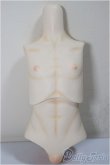 画像1: MDDサイズ/kakuso様製:男の子外皮パーツ上半身と下半身/ A-25-05-28-270-NY-ZA (1)