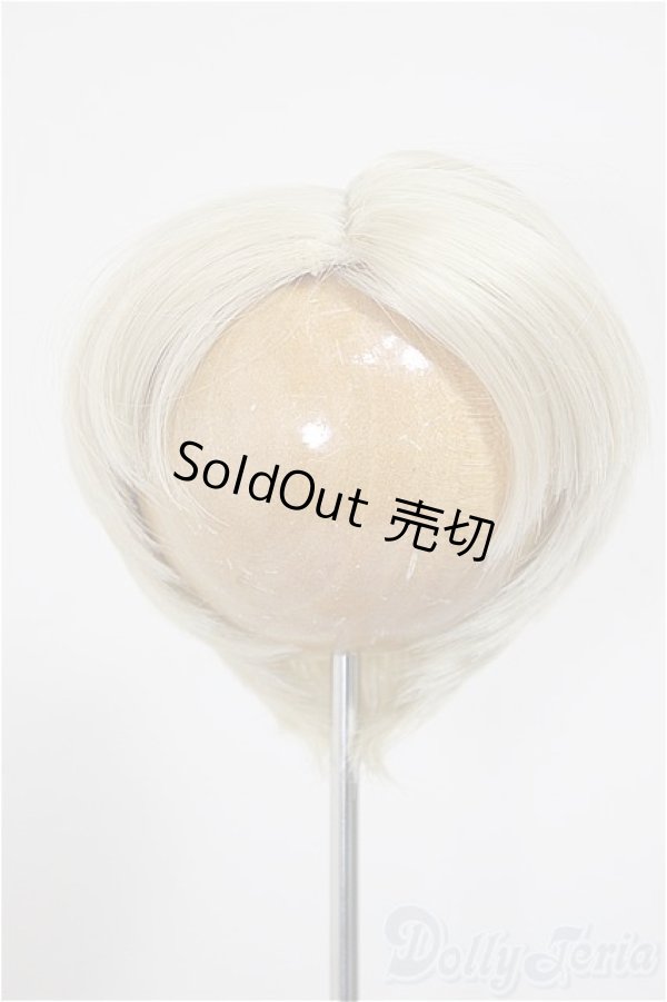 画像1: 9inch/ウィッグ/インチ　BJD　MJD　ドール用 A-25-10-29-299-NY-ZA (1)