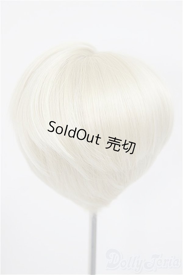 画像2: 9inch/ウィッグ/インチ　BJD　MJD　ドール用 A-25-10-29-299-NY-ZA (2)