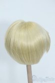 画像2: 8.5-9inch/ウィッグ Y-25-08-06-234-NY-ZY (2)