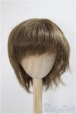 画像1: 9-10inch/ウィッグ/インチ　BJD　MJD　ドール用 A-25-05-28-400-KD-ZA (1)
