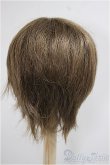 画像2: 9-10inch/ウィッグ/インチ　BJD　MJD　ドール用 A-25-05-28-400-KD-ZA (2)