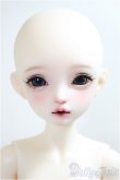 画像1: Asleep Eidolon/1/4/mini Liz /BJD　球体関節人形 A-25-06-04-220-KD-ZA (1)