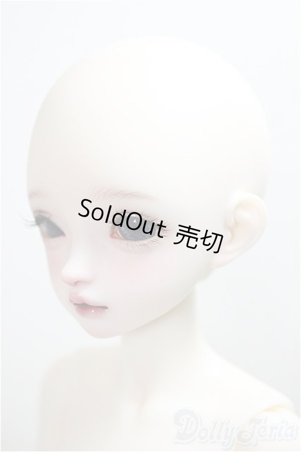 画像3: Asleep Eidolon/1/4/mini Liz /BJD　球体関節人形 A-25-06-04-220-KD-ZA (3)