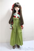 画像6: 【DOLK×MYOU DOLL】Delia - Literature Limited/BJD　球体関節人形 A-25-06-04-219-KD-ZA (6)
