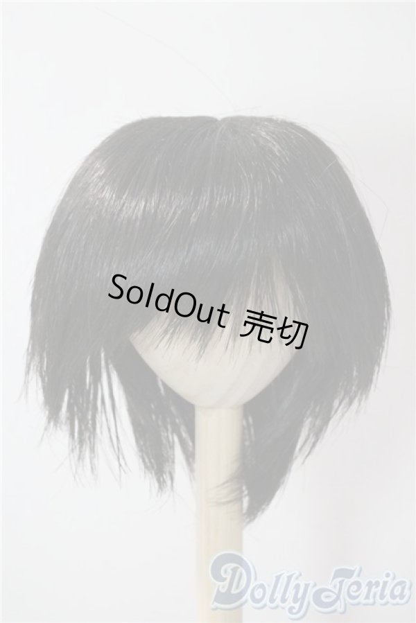 画像1: 8-9inch/ウィッグ U-25-06-17-010-NY-ZU (1)