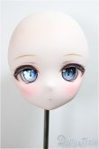 画像3: DDH-01 カスタムヘッド/RonshukaCouture様製　衣装・ウィッグ付き/BJD　球体関節人形 A-25-06-04-215-NY-ZA (3)