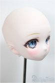画像4: DDH-01 カスタムヘッド/RonshukaCouture様製　衣装・ウィッグ付き/BJD　球体関節人形 A-25-06-04-215-NY-ZA (4)