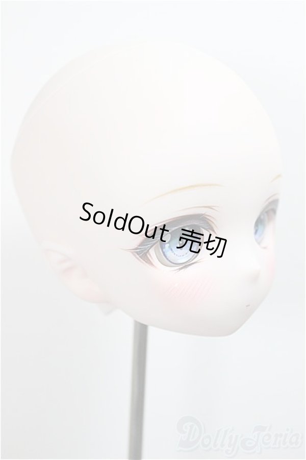 画像4: DDH-01 カスタムヘッド/RonshukaCouture様製　衣装・ウィッグ付き/BJD　球体関節人形 A-25-06-04-215-NY-ZA (4)