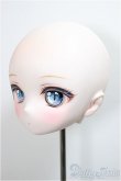 画像5: DDH-01 カスタムヘッド/RonshukaCouture様製　衣装・ウィッグ付き/BJD　球体関節人形 A-25-06-04-215-NY-ZA (5)