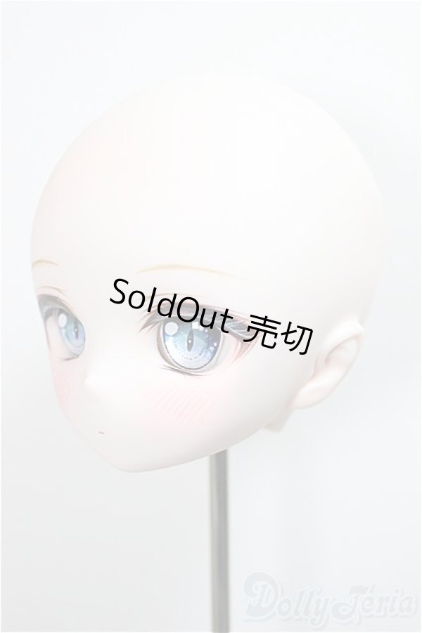 画像5: DDH-01 カスタムヘッド/RonshukaCouture様製　衣装・ウィッグ付き/BJD　球体関節人形 A-25-06-04-215-NY-ZA (5)