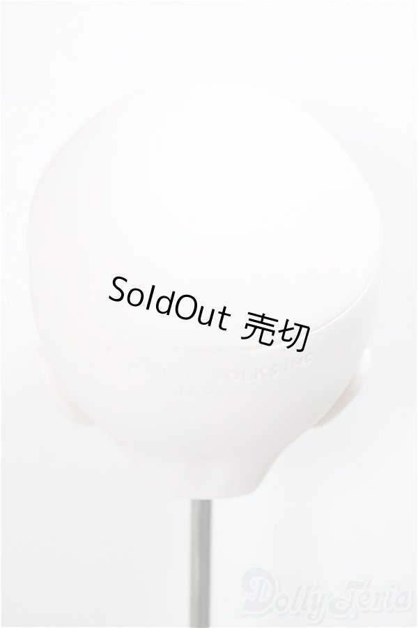 画像6: DDH-01 カスタムヘッド/RonshukaCouture様製　衣装・ウィッグ付き/BJD　球体関節人形 A-25-06-04-215-NY-ZA (6)